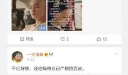 录音爆料许凯视频下载安装,揭秘明星隐私泄露事件